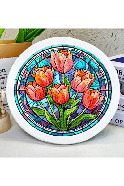 MENTAŞ Boncuklu Kristal Taşlı Mozaik Elmas Boyama Goblen Pano Tablo Resim 20x...