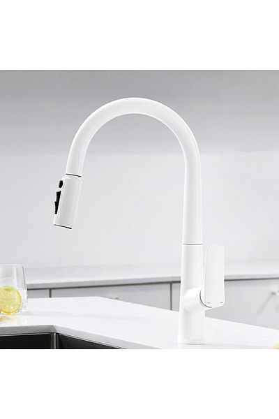 OEM 2025 New Kitchen Sink Faucet - White with Spiral and Fountain, Water Purifier Outlet, 7 Years Warranty Imported