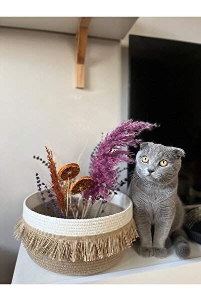 Bohemahomedecor Плетений бежевий кошик-організатор декоративний кошик подарун...