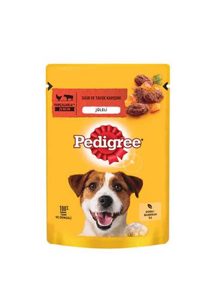 Pedigree Pouch Sığır Etli ve Tavuklu Yetişkin Köpek Konservesi 100gr