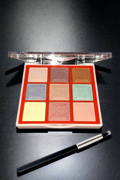 wonderway 9-Pack Eyeshadow Palette - Eye Liner and Eyeshadow Brush Gift