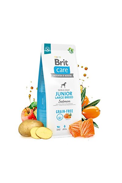 Brit Care Tahılsız Skin & Coat Somonlu Büyük Irk Yavru Köpek Maması 12 Kg