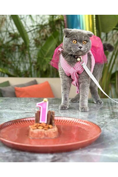 Gobo Pembe Kareli Fiyonklu Tüllü Kedi Köpek Kıyafeti Giyimi SMALL/S/Beden 1