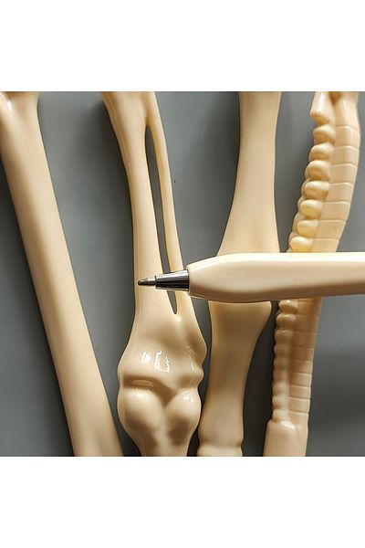 Bozhi هدية خاصة لطلاب العظام والتشريح والطب - مجموعة من 5 أقلام حبر جاف على شكل هيكل عظمي
