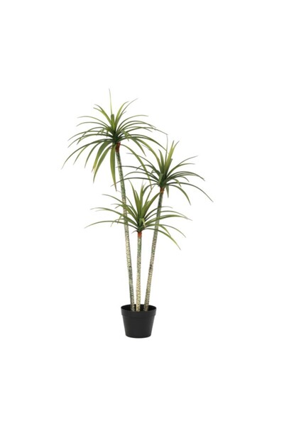 SERENE Beautiful Life-Like Artificial Dracaena Tree