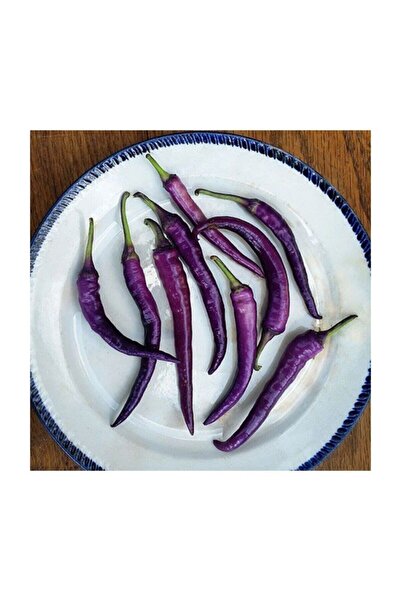 Genel Markalar Hafif Acı Sivri Mor Biber Tohumu 10 Adet Tohum