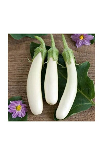 serada decor & plant Süper Paket 50 Adet Tohum Ithal Endonezya Beyaz Kemer Pa...
