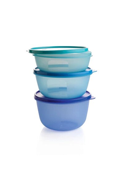 Tupperware 3-Piece Microwave and Dishwasher Safe Plastic Seal and Go Bowl Set...