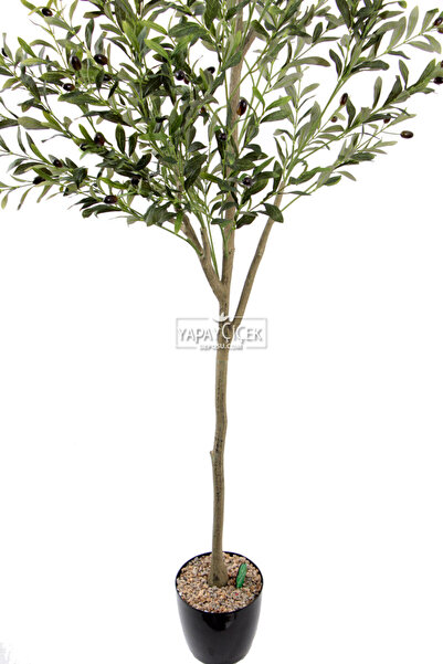 Yapay Çiçek Deposu Yapay Zeytin Ağacı Lüx Gövde 180 cm