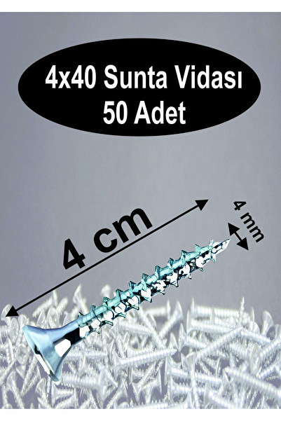Dempol 4x40 Sunta Vidası 50 Adet