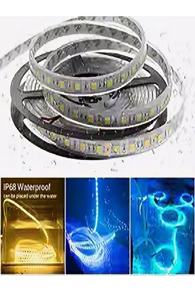 CAMANA Şerit Led Ip68 Havuz Led Su Geçirmez Hortum Led Neon Led 5/12/24v 5-10-20-30-40-50m