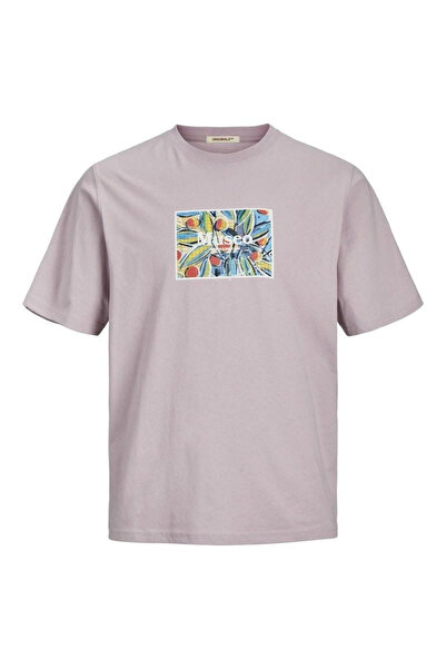 Jack & Jones Jack&jones Art Tee Ss Crew Neck 12256382 Lavender Frost