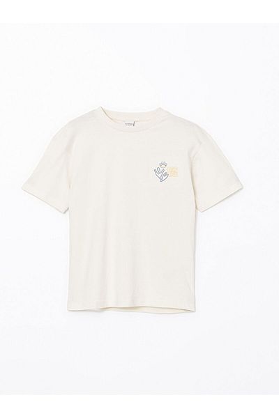 LC Waikiki Crew Neck Boy's T-Shirt