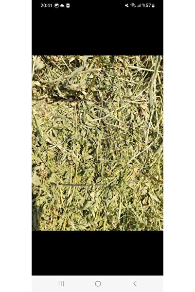 Dogus Kuş Evi Bol Yapraklı Kuru Yonca Otu 5 kğ