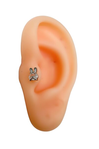 ACAR TAKI ÇELİK ARKADAN VİDALI TAVŞAN TRAGUS-HELIX PIERCING 6 MM GÜMÜŞ RENK A...