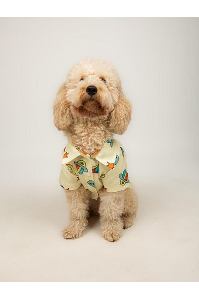 Buf & Buf Astro - Summer Cat Dog Shirt Small Medium Breed Custom Printed