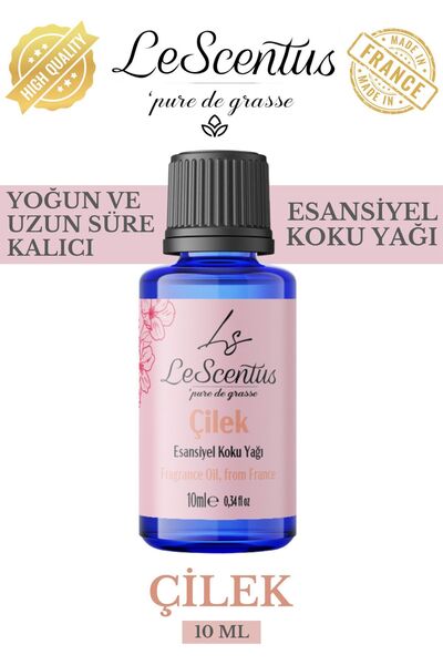 lescentus Çilek Esansiyel Koku Yağı Buhurdanlık Yağı Difüzör Hobi Esansı Oda ...