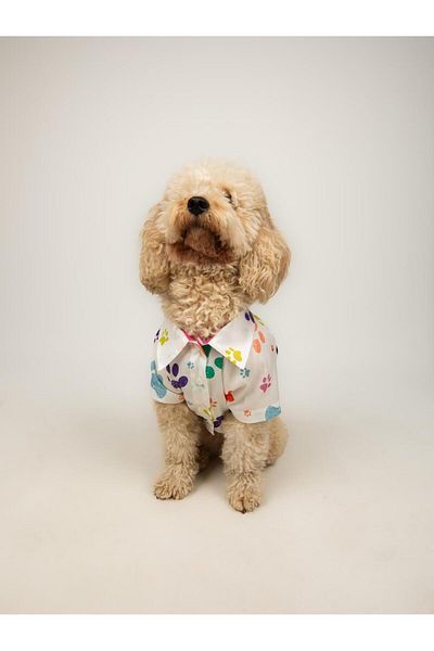 Buf & Buf Paw Pal - Summer Cat Dog Shirt Small Medium Breed Custom Printed