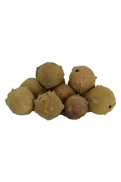 LokmanAVM Doğal Mazı Bitkisi Kozalağı 1.kalite Meşe Mazısı Kozalak 100gr
