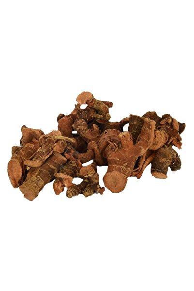 LokmanAVM Doğal Havlıcan Otu Kökü Tane Havlucan Otu Bitkisi Kökü 100GR