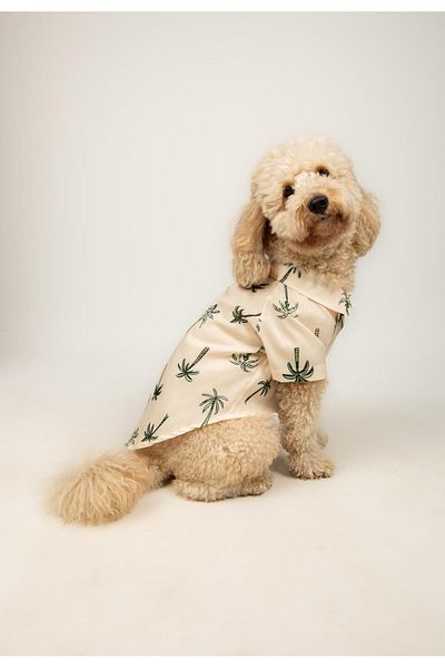 Buf & Buf Palm Pup - Summer Cat Dog Shirt Small Medium Breed Custom Printed