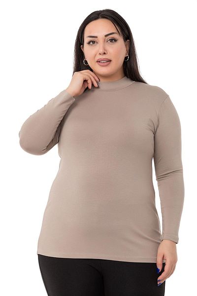 DISENTIS MODEST Large Size Half Fisherman Long Sleeve Viscose Mink Body