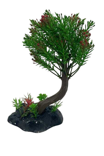 Fatih-Pet Bonsai Ağaç Akvaryum Bitki Dekor