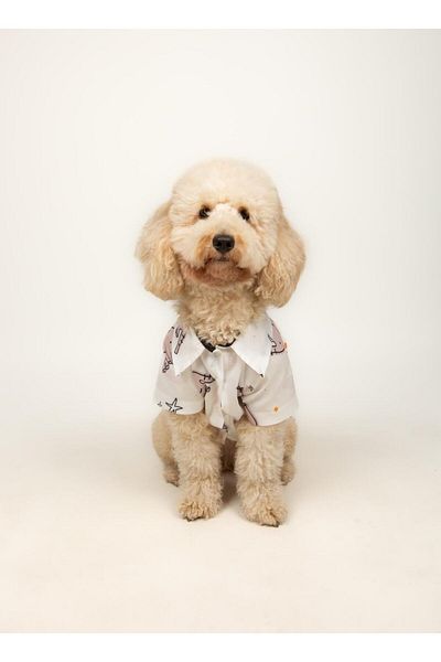Buf & Buf Elephant Sky - Summer Cat Dog Shirt Small Medium Breed Custom Printed