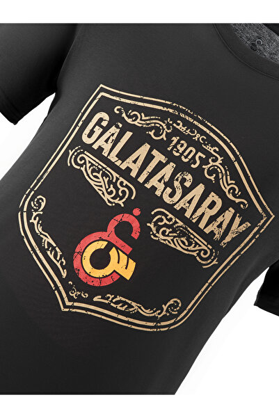 GSStore Galatasaray Erkek T-Shirt E241155
