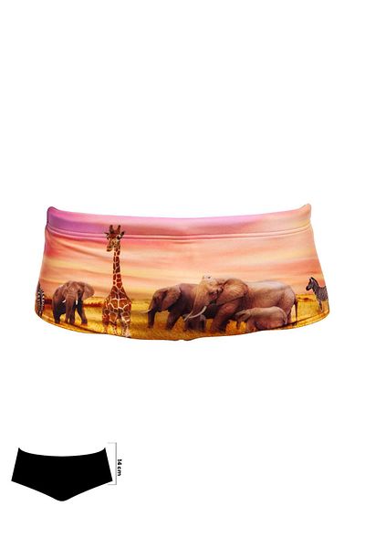 Funky Trunks Circle of Life Men's Training Swimsuit, 14cm Trunks
