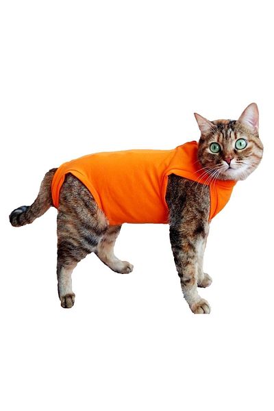 stylie Post-Surgery Protective Cat Coverall - Sleeveless and Back Velcro Clothing