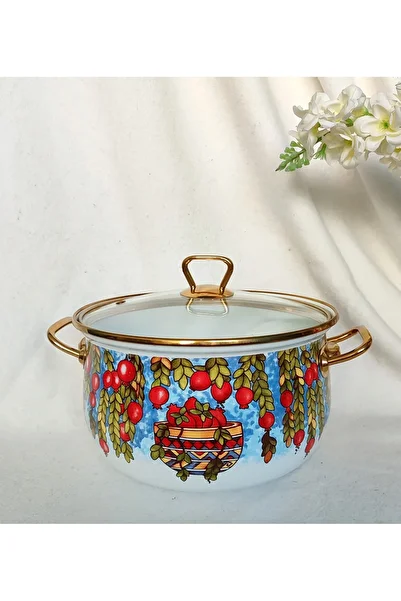 EBRULİEMAYE Pomegranate Enamel Luxury Pot 24 cm Diameter 5 Liter Milk Yogurt Soup Pot