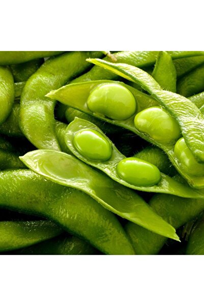 AGRODAL TARIM Yerli Doğal Soya Fasulyesi Tohumu 50 Adet Tohum