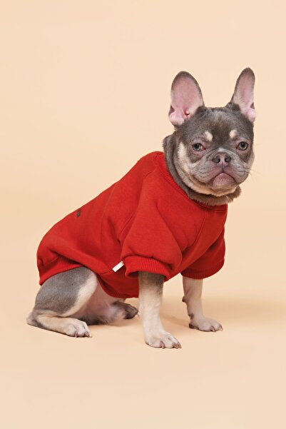 salya store Küçük, Orta Ve Büyük Irk Köpek Kıyafeti, Cacti Köpek Sweatshirt