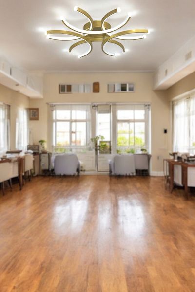 LEGACY Levora Modern Design - Living Room - Kitchen - Bedroom Antique Color White Light Led Chandelier