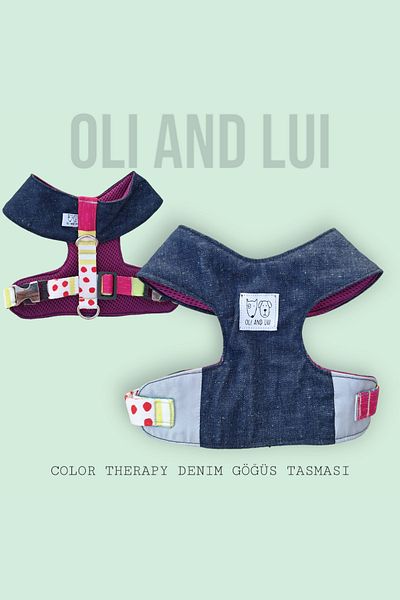 Oli and Lui Denim Dog Collar - Color Therapy