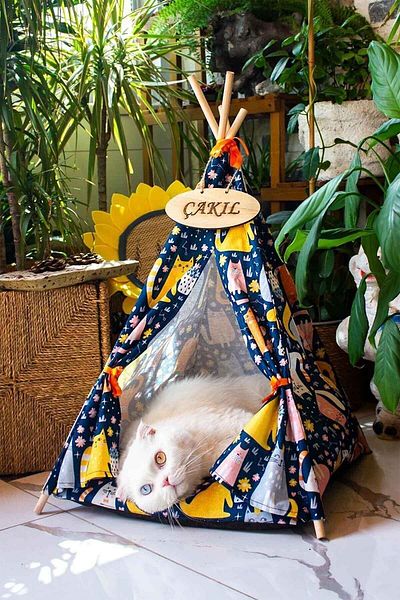 GOBYPET Personalized, Washable Cat, Dog Tent, Easy Installation