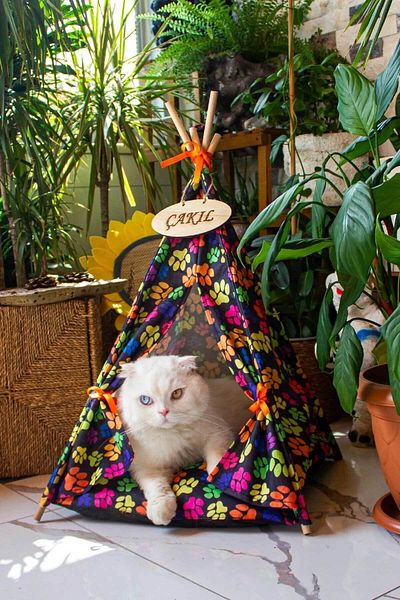 GOBYPET Personalized, Washable Cat, Dog Tent, Easy Installation