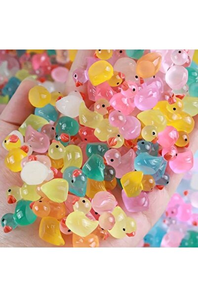 RENGARENK 10'lu Karanlıkta Parlayan Mini Ördek Figürleri