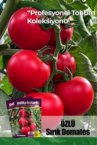 Patika Botanik 10 Adet Özlü Domates Tohumu