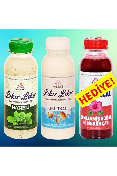 2'li Naneli ve Sade Lıkır Lıkır Ayran Tadında Bitkisel İçecek 330 ml