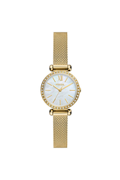 Fossil Fbq3898 Women's Wristwatch