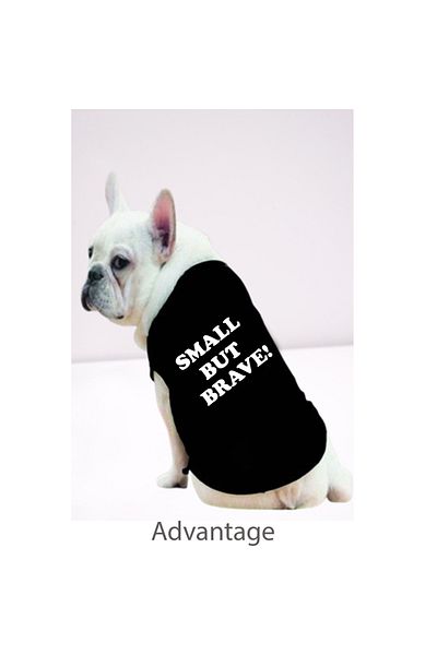 Advantage Small but Brave Dog Sneaker