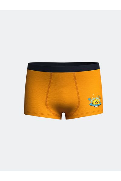 LC Waikiki 3-Piece Printed Boxer Set for Boy