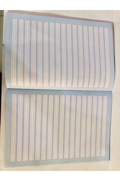 Alfa 2 Beautiful Writing Books in A4 Size - Cardboard Cover