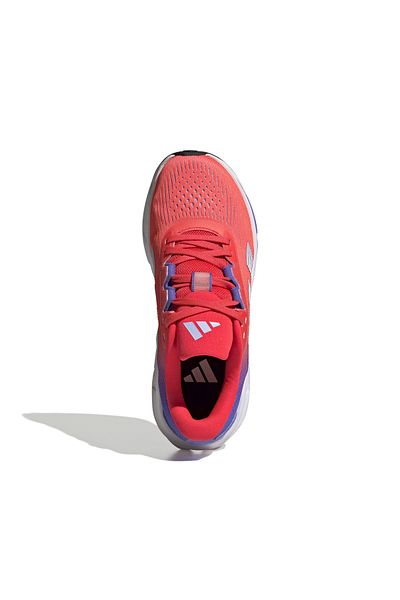 adidas Questar 3 futócipő