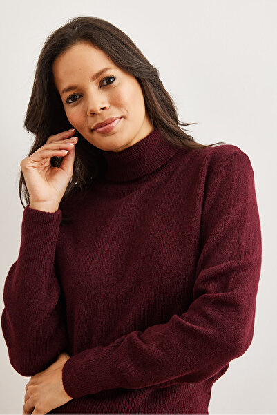 Olalook Women's Burgundy Turtleneck Soft Textured Knitwear Sweater Kzk- 19000897