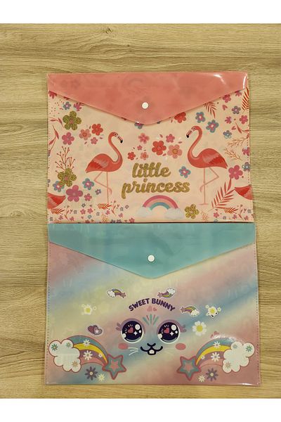 Mikro 2 Pack Cute Snap File