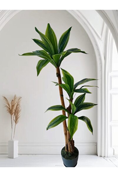 YEŞİLADA Yapay Yucca Ağacı 1.60 Metre Boy 3 Gövde Islak Doku Tropikal Yuka Ağ...