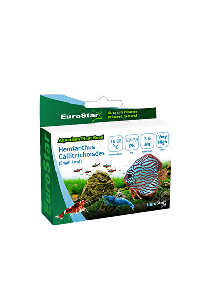 EuroStar Bitki Tohum Hemianthus Callitrichoides